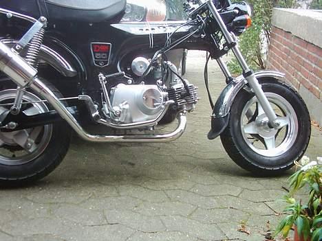 Honda Dax Solgt www.lightgadgets.dk billede 11