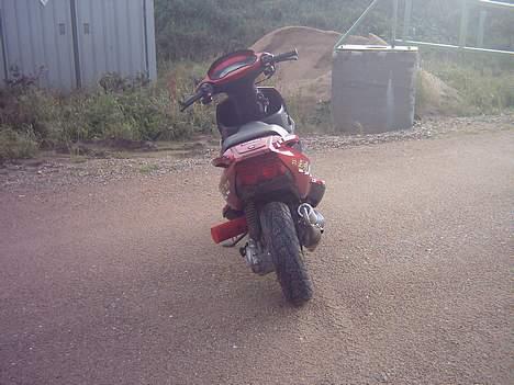 PGO dr. big billede 10