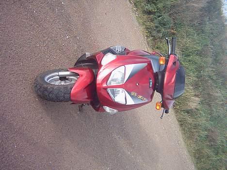 PGO dr. big billede 12