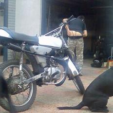 Yamaha 4-Gear DX (Solgt)