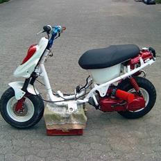 PGO Hot 50' projekt 100%SOLGT