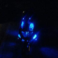 PGO A Dr.Big | BYTTET TIL HOT