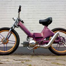 Puch next2no1