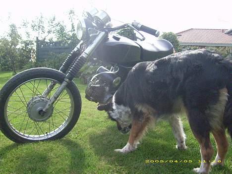 Yamaha 4-gear.  (Soolgt) billede 6