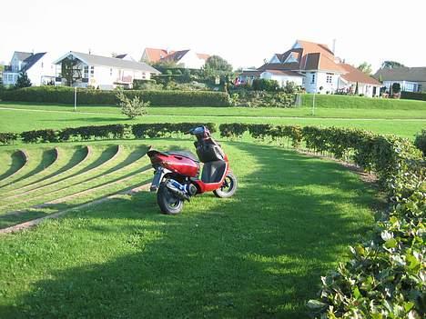 Aprilia Sonic - Væk billede 9