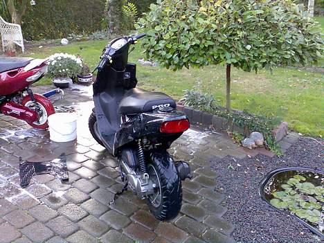 PGO Hot 50 (solgt) - Hotten forfaen :) og lidt af min vens scooter :) billede 3