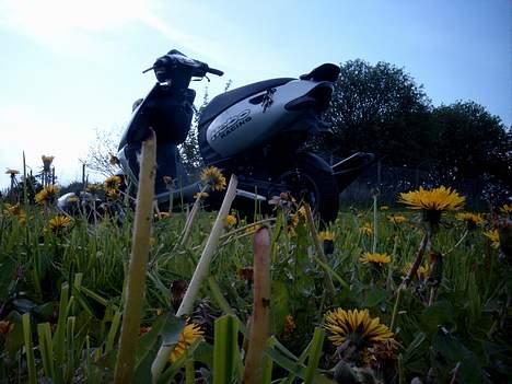 Aprilia Sonic |SOLGT| billede 12