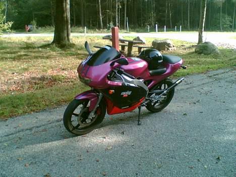 Aprilia Rs 50 (Solgt) billede 12