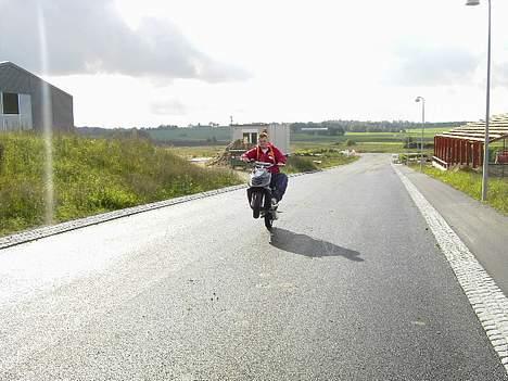 Aprilia Sonic billede 15