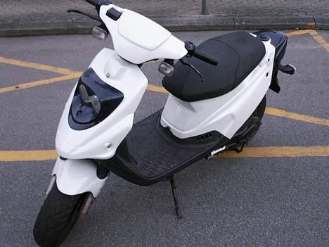 PGO big max billede 2