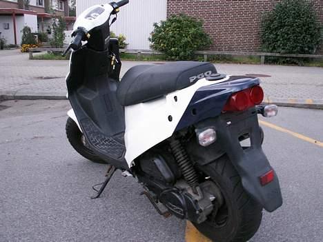 PGO big max billede 3