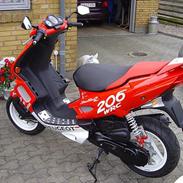 Peugeot 206 speedfight2