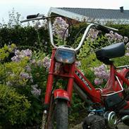 Puch Maxi K - SOLGT