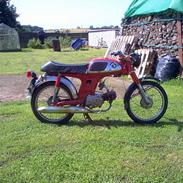 Honda cd50