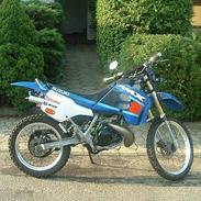 Suzuki Rmx