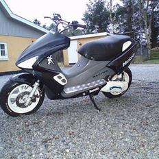 Benelli 491 ST SOLGT