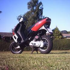 Peugeot Speedfight LCE "SOLGT"