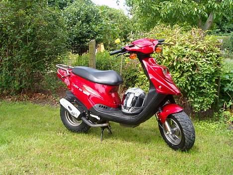 PGO Hot 50 Solgt - den scooter er jo flot.... og det bliver den ved med at være billede 3