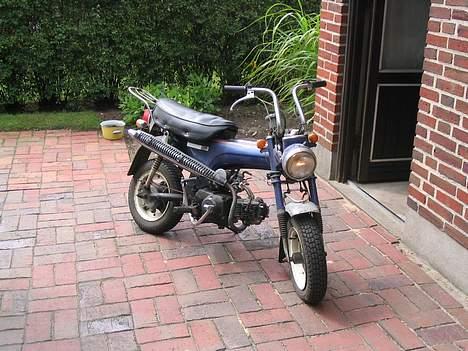 Honda   Dax billede 1