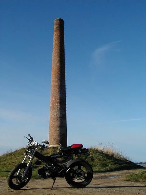 Sachs MadAss | S O L G T billede 2