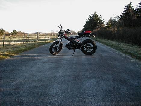 Sachs MadAss | S O L G T billede 4