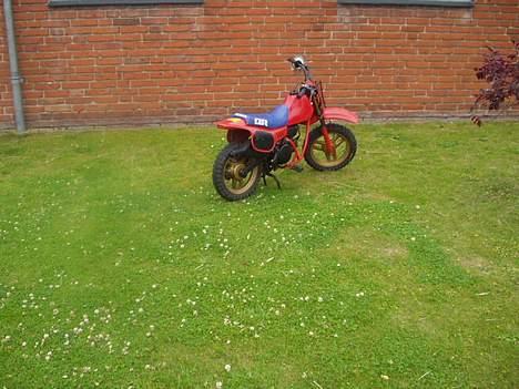 Honda QR50 billede 5