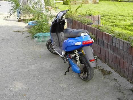 Piaggio Typhoon (SOLGT) billede 3