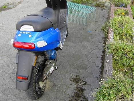 Piaggio Typhoon (SOLGT) billede 5