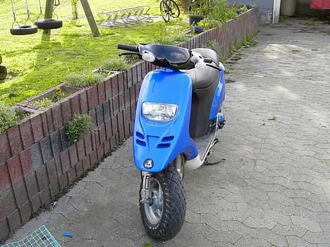 Piaggio Typhoon (SOLGT) billede 6