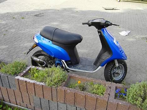 Piaggio Typhoon (SOLGT) billede 7