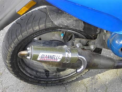 Piaggio Typhoon (SOLGT) billede 8