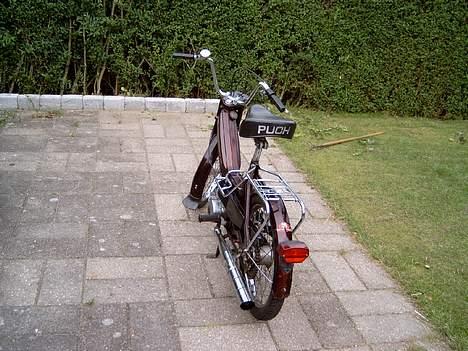 Puch Maxi k (Solgt) billede 3