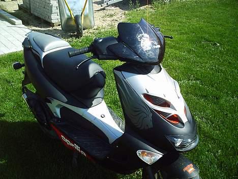 Aprilia SR 50 Ditech billede 6