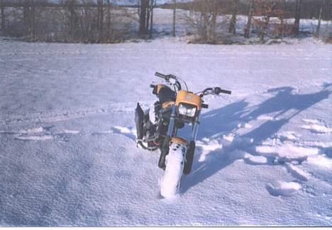 Suzuki Street Magic - Til Salg billede 4