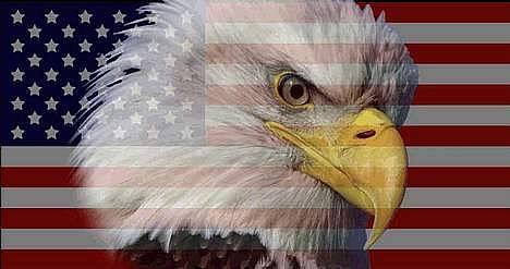 Yamaha 4 gear DX (Solgt) - Team Ørn logo billede 1