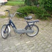 Vespa caio Solgt 