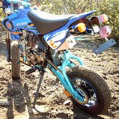Sinski Demon bike 50ccm