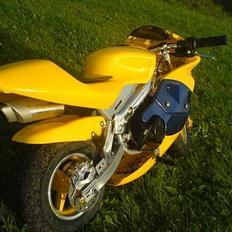 MiniBike Daytona