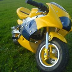 MiniBike Daytona