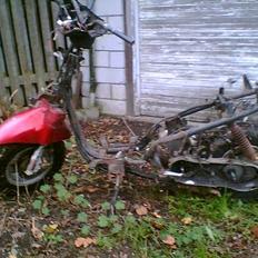 PGO big max..(SOLGT)