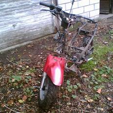 PGO big max..(SOLGT)