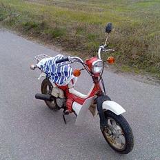 Suzuki FZ50 PROJEKT!