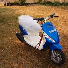 Piaggio New Zip Byttet til Raptor