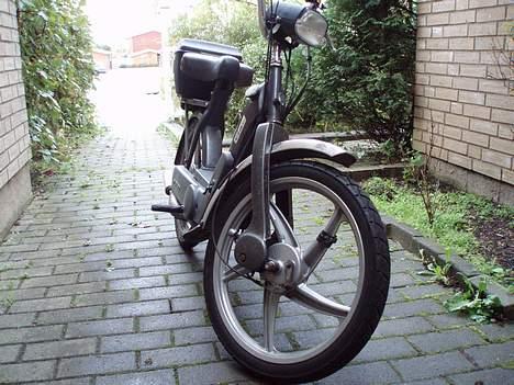 Vespa a caio billede 1