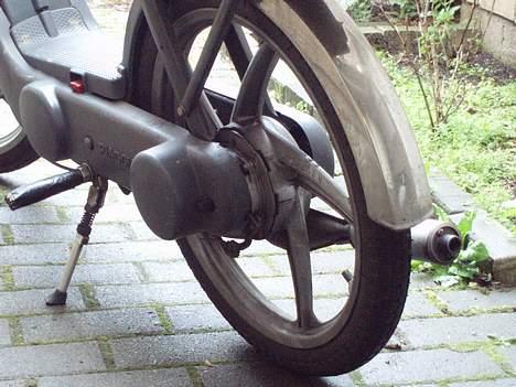 Vespa a caio billede 6