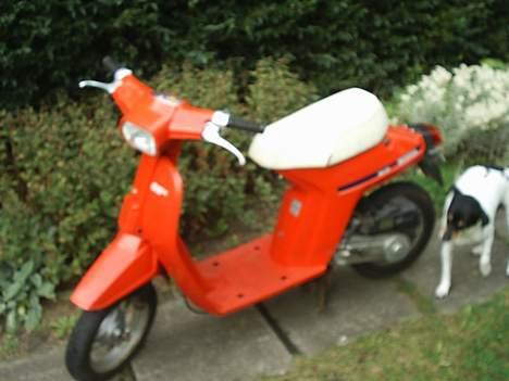 Honda Melody |* SOLGT *| billede 1