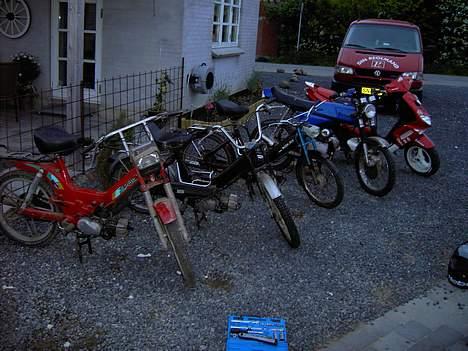 Puch maxi p (solgt - alle mine kanlleret i sommeres nogle er solgt og har købet nogle andre billede 11