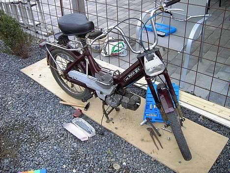 Puch maxi p  (solgt) billede 1