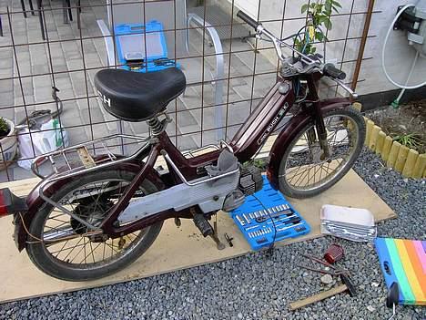 Puch maxi p  (solgt) billede 3