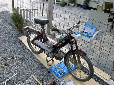 Puch maxi p  (solgt) billede 4